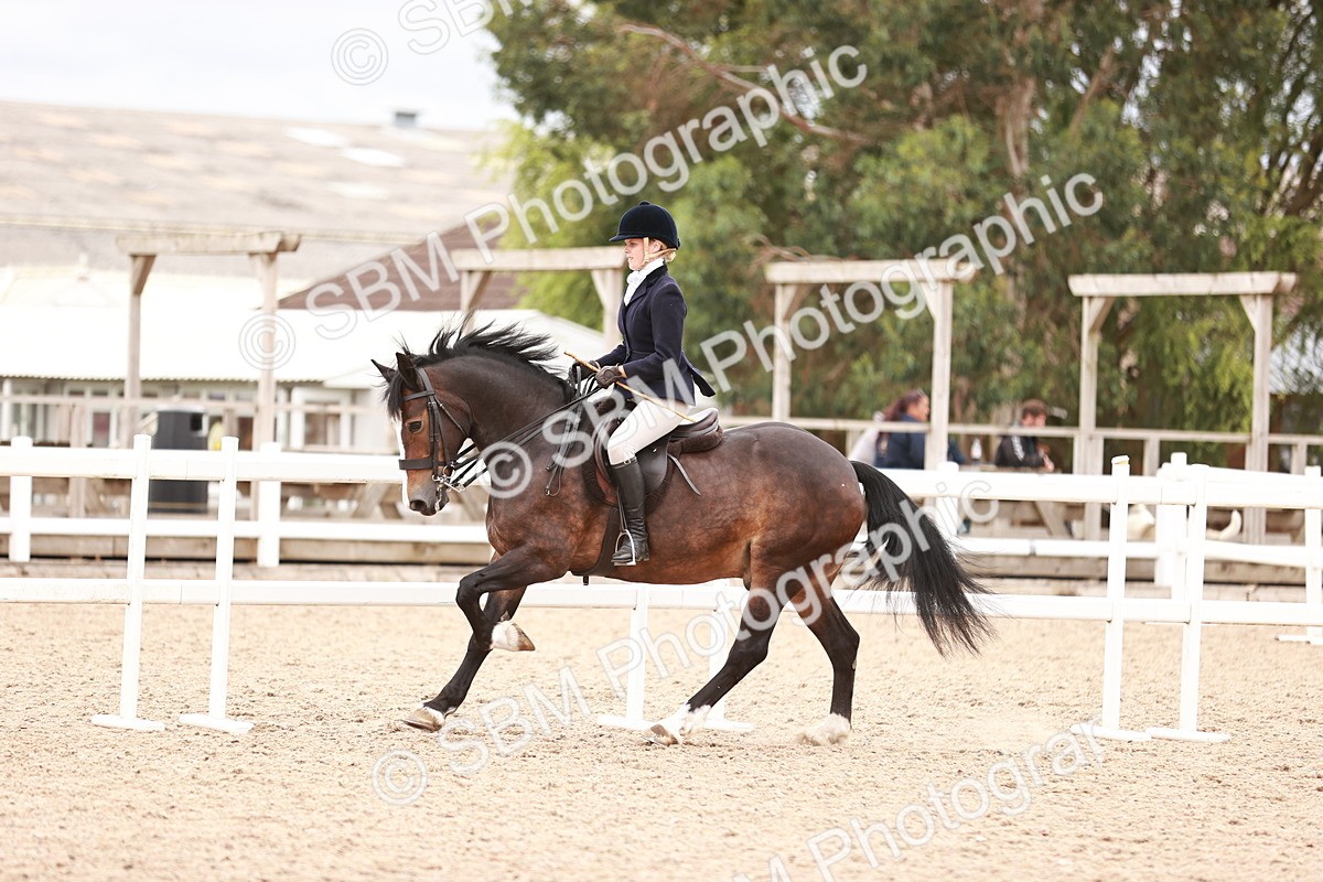 SBM_18983 - Class 422 - Ridden M&M