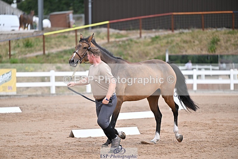 250716-131527-00411 - Trot Up 12.30 to 1.30