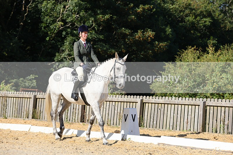 1X9A7702 - Class 9: Open Ridden Hunter