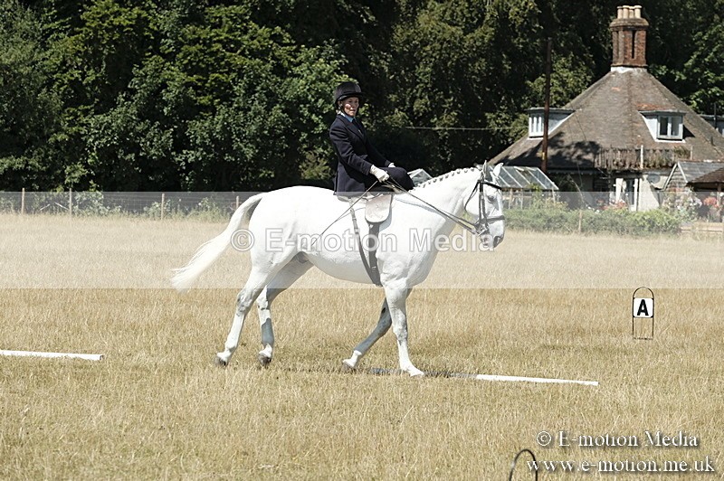 _PJP5956 - Dressage Classes BVRC Show 2018