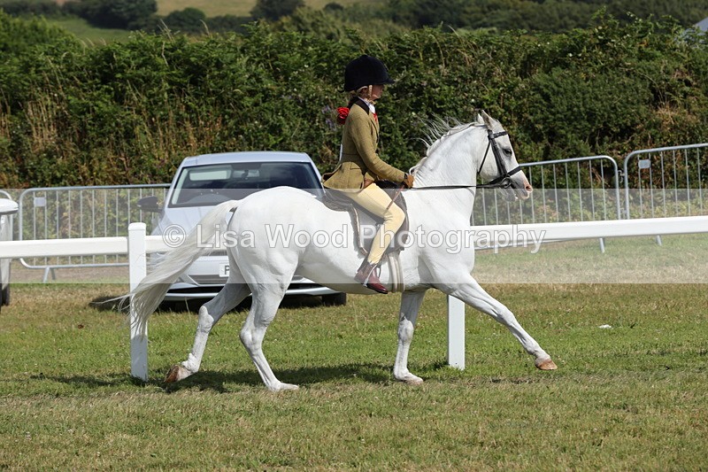 1X9A5694 - Class 40: NPS Welsh A & B