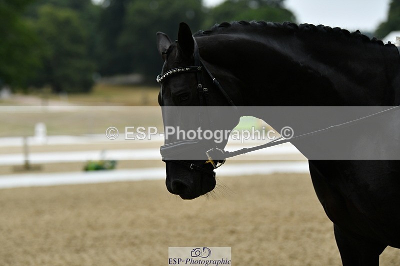 250718A-102614-00153 - 100-Elaine.Cleverdon-PAGANTE