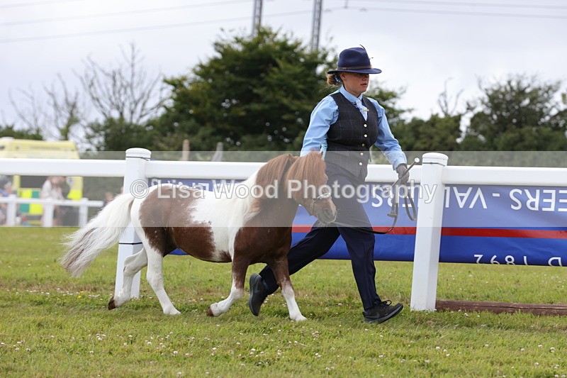 1X9A4746 - Class 35: Veteran In Hand