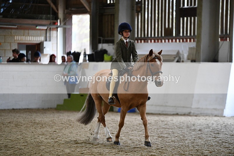 WJ5_7252 - Class 11 Ridden PC - RC Pony
