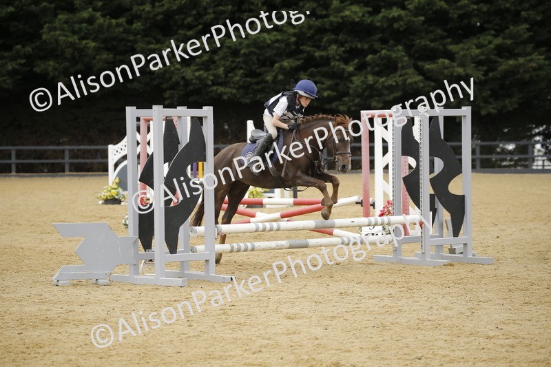 20250622-6048 - 60cm