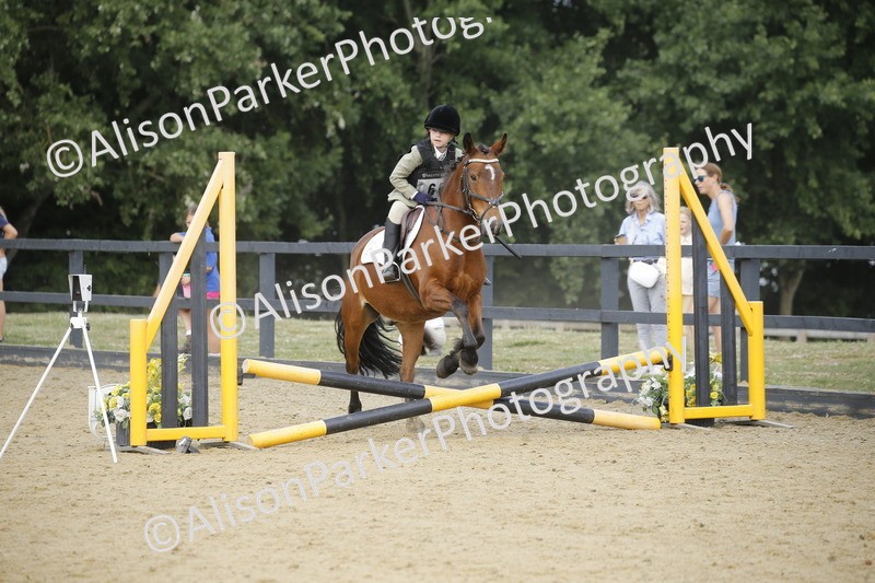 20250622-3588 - 50cm