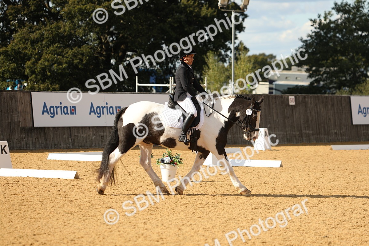 SBM_26713 - D17 - Grand Tour Championship - Novice 27
