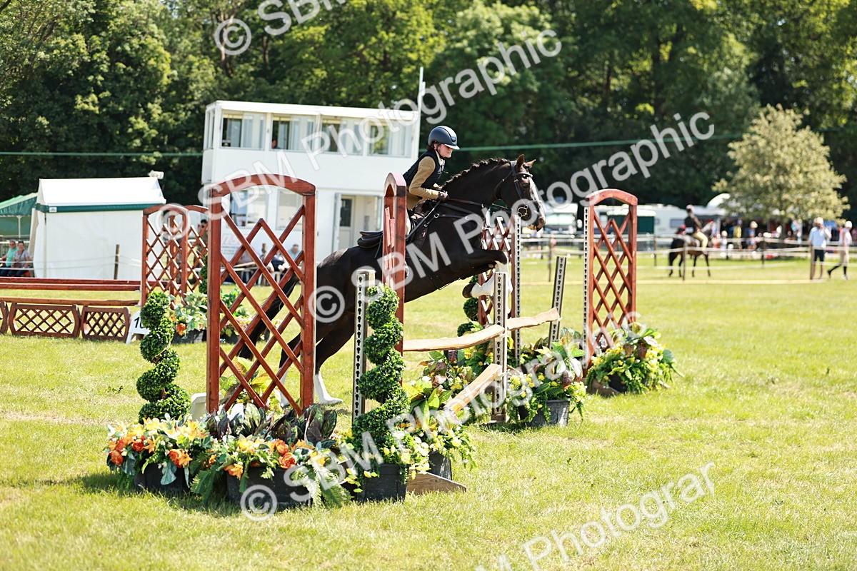 SBM_17599 - Class 112-113 - BSPS LIHS Working Sports Pony