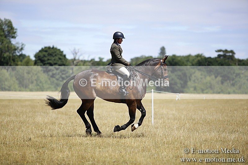 _C7A9983 - BVRC Show 2018 Ring 1