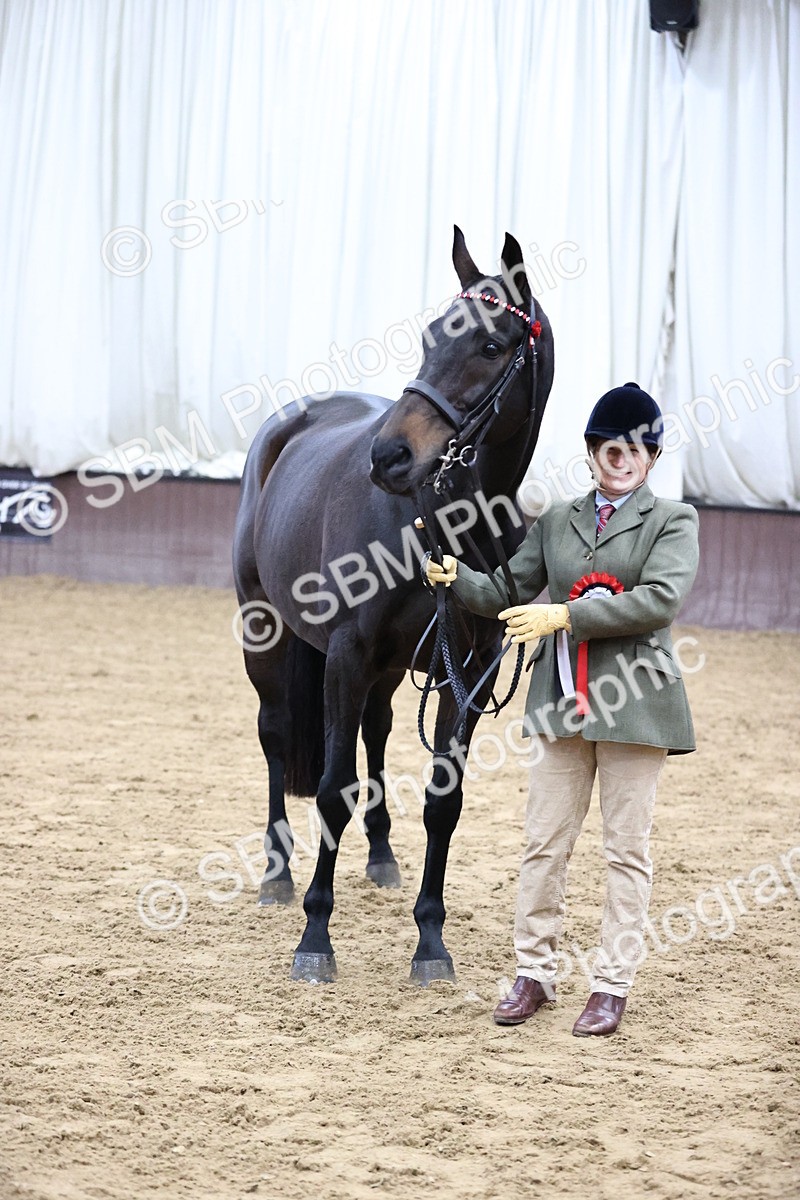 SBM_5769 - Class 3 - BSHA In Hand Show Hunter
