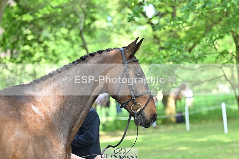 250521A-163902-01258 - C-262-Cosby.Green-LIBERO.D