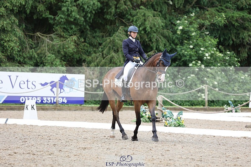 240523-104206-03379 - 214-DSH_GOLDEN_EYE-Lucinda_Mesquita