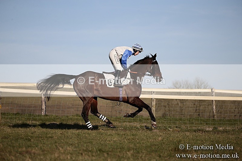 PtP 240218 652 - Vine & Craven Hunt Point-to-Point Barbury racecourse 24/02/18