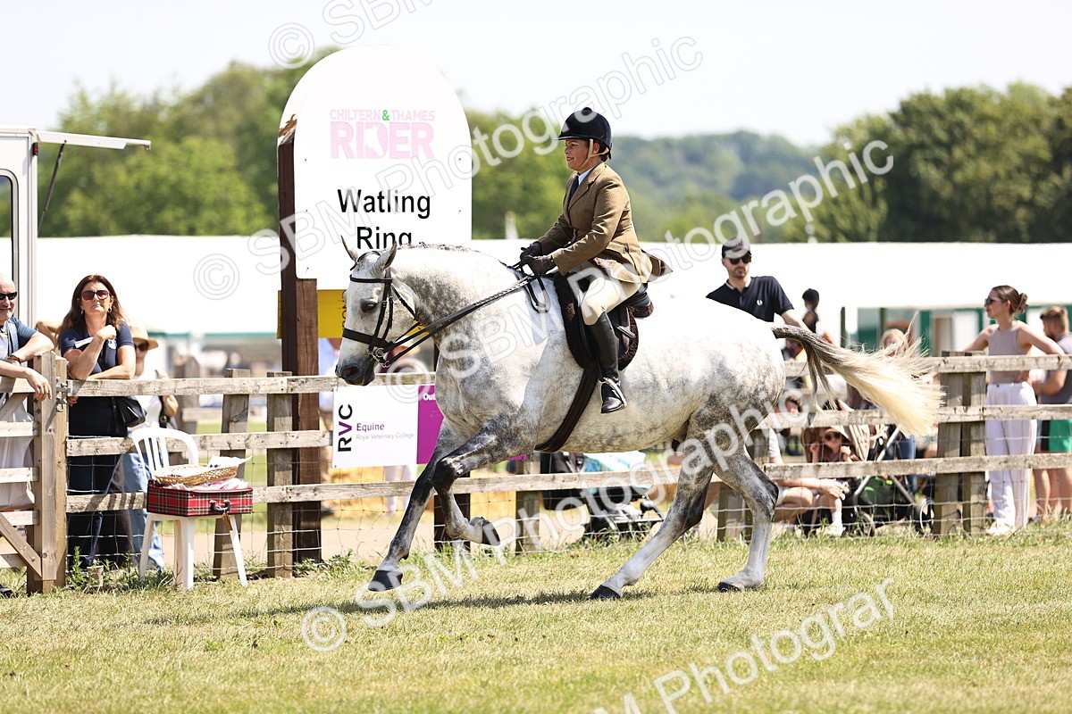 SBM_15156 - Class 79-80 - LIHS BSHA Rising Star Ridden Hunter