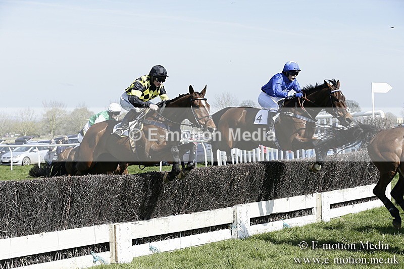 PtP 260317 69 - Mendip Farmers Point-to-Point Ston Easton 26/03/17