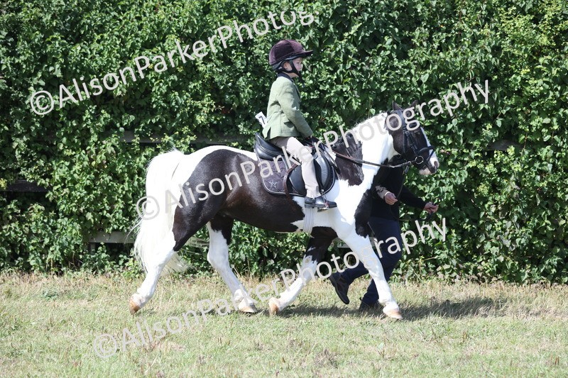 20250831-2670 - Class 17 - Lead Rein Pony