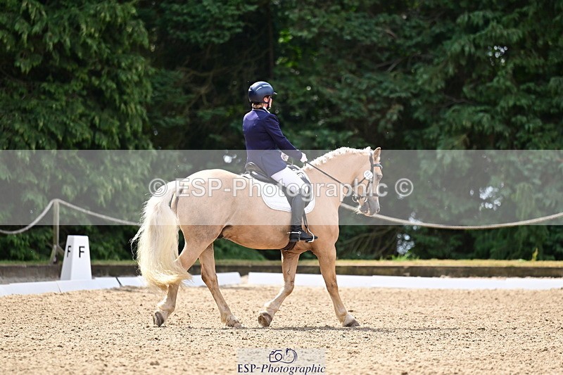 260802A-111351-05748 - Novice Silver break - break