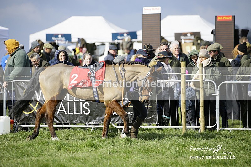 PtP 060322 54 - Blackmore & Sparkford Vale Hunt PtP 06/03/22