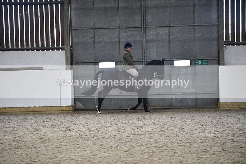 WJ5_7834 - Class 13 Ridden Part Breed
