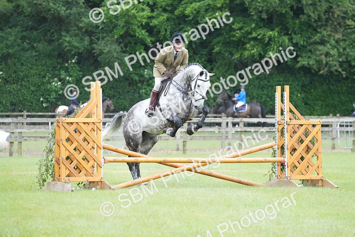 SBM_12601 - Class 97-98 - LIHS BSHA Rising Star Working Show Horse Hunter
