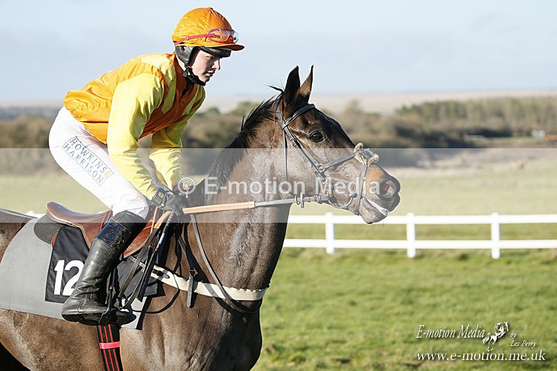 PtP 121220 297 - Avon Vale Races Larkhill 12/12/20