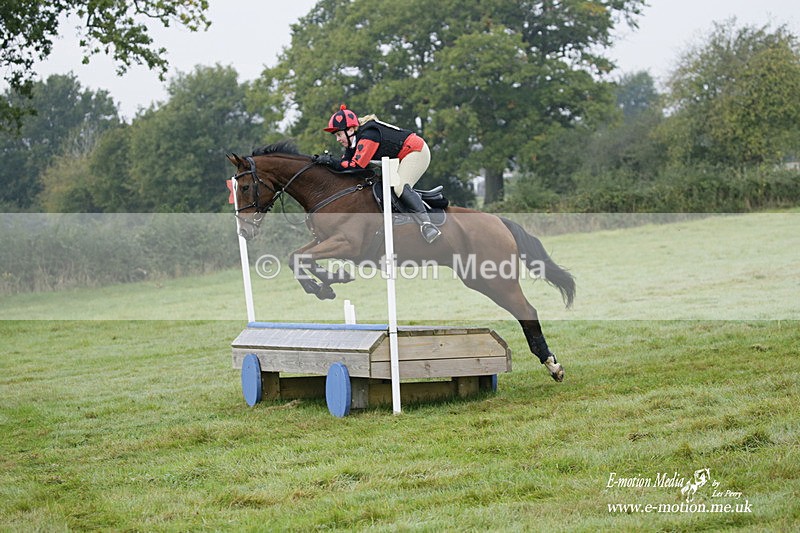 WWHT 171021 0101 - Novice Restricted (0.80m)  17/10/21