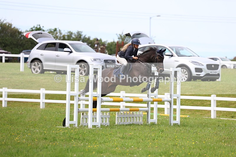 3E7A1720 - Class 13: Senior British Novice/90cm open