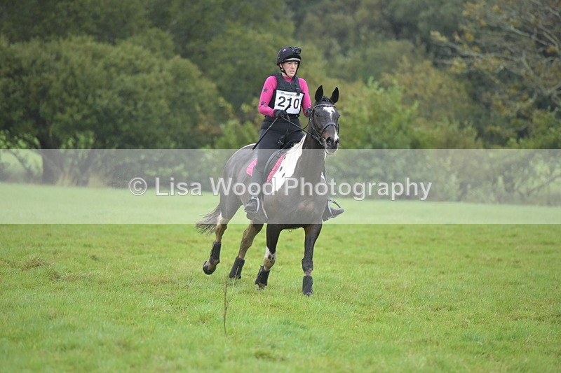 RAY_9529 - Class 2: 70cm: Corner