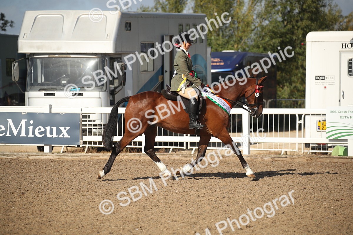 SBM_22740 - Class 601 - 2026 - Area - Ridden Diamond