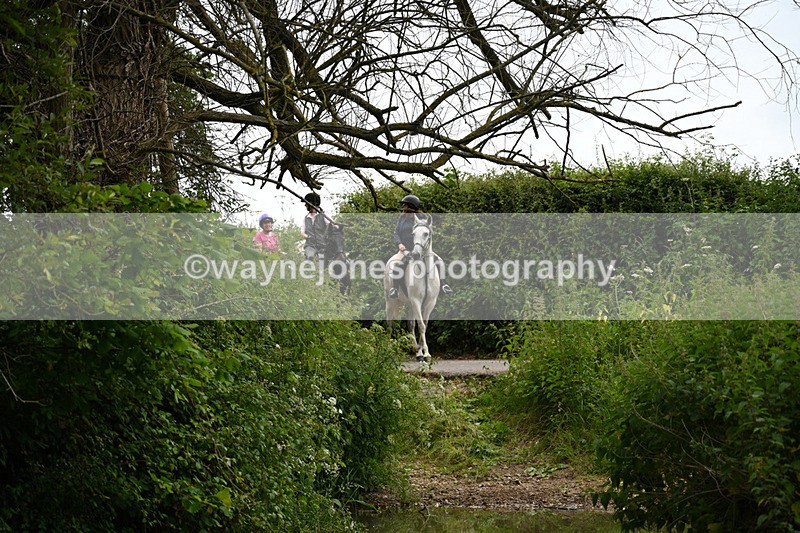 WJ7_2375 - Camera 2 Water Crossing