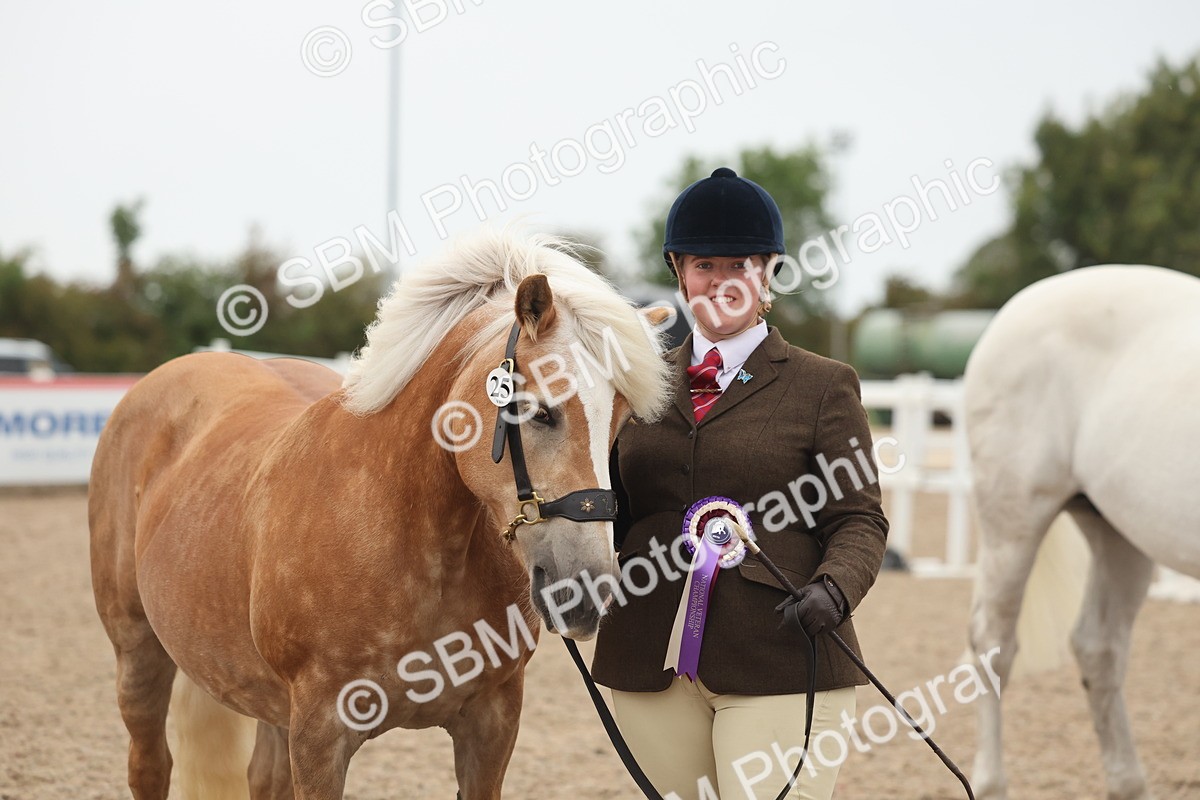 SBM_19450 - Class 317 - IH Pure Bred Horse-Pony
