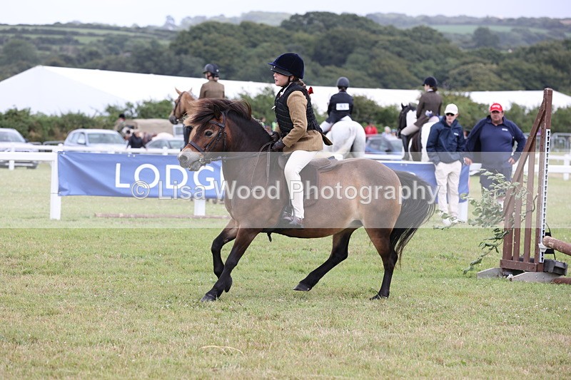 JPP_1769 - Class 18: Tiny Tots Working Hunter Pony