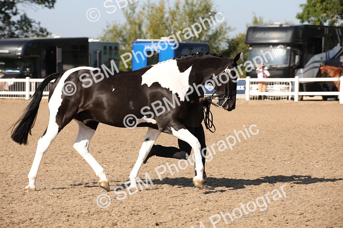 SBM_01512 - Class 15 IH Coloured