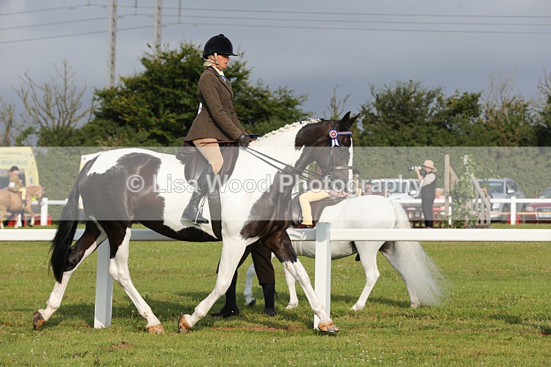 1X9A2823 - Class 25: Ridden Plaited Coloured Horse