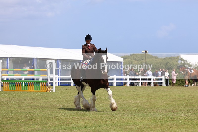 3E7A2878 - Class 13: Heavy Horse Ridden