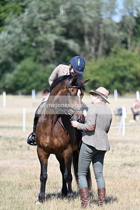 WJ7_4209 - Class 9 Mountain & Moorland Ridden