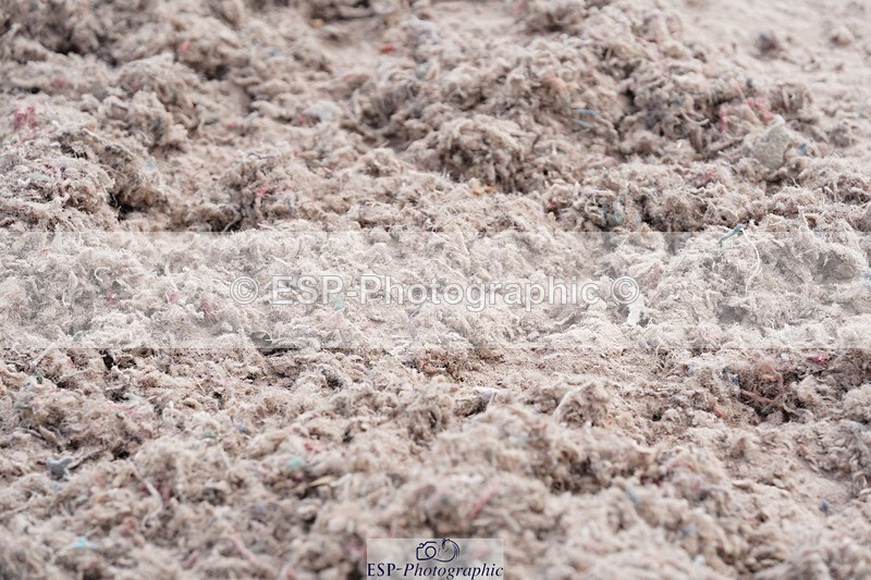 250505-101834-04179 - Cls 13 Springboard