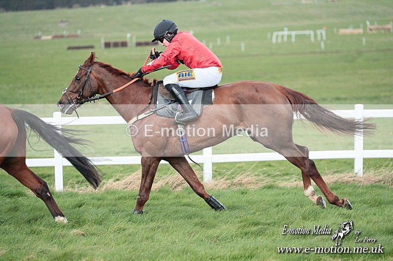 PtP 230324 455 - Tedworth Hunt PtP Larkhill Raccourse 23rd March 2024