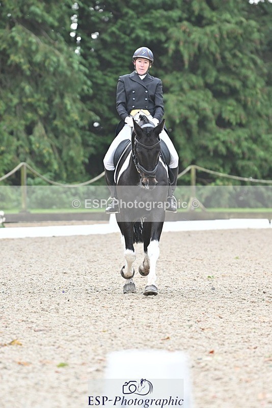 231019-103243-01889 - 101-RICARDO.COLOURS.II-Elizabeth.Wadey-DR