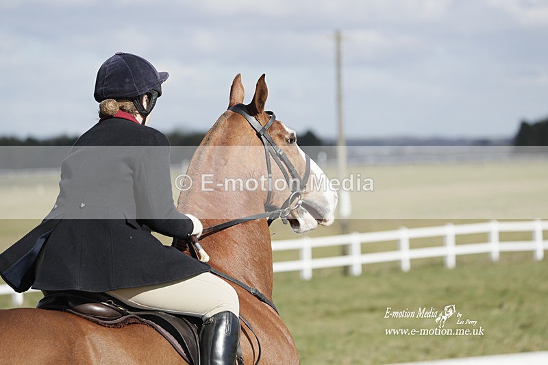 PtP 260223 410 - South & West Wilts Point-to-Point Larkhill 26/02/23