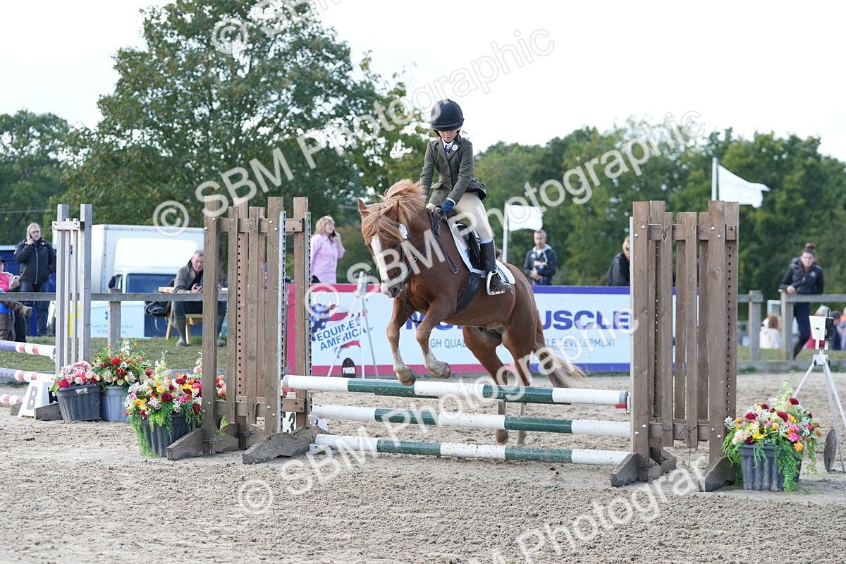 SBM_46728 - J7 - Junior Pony 60cm Championship