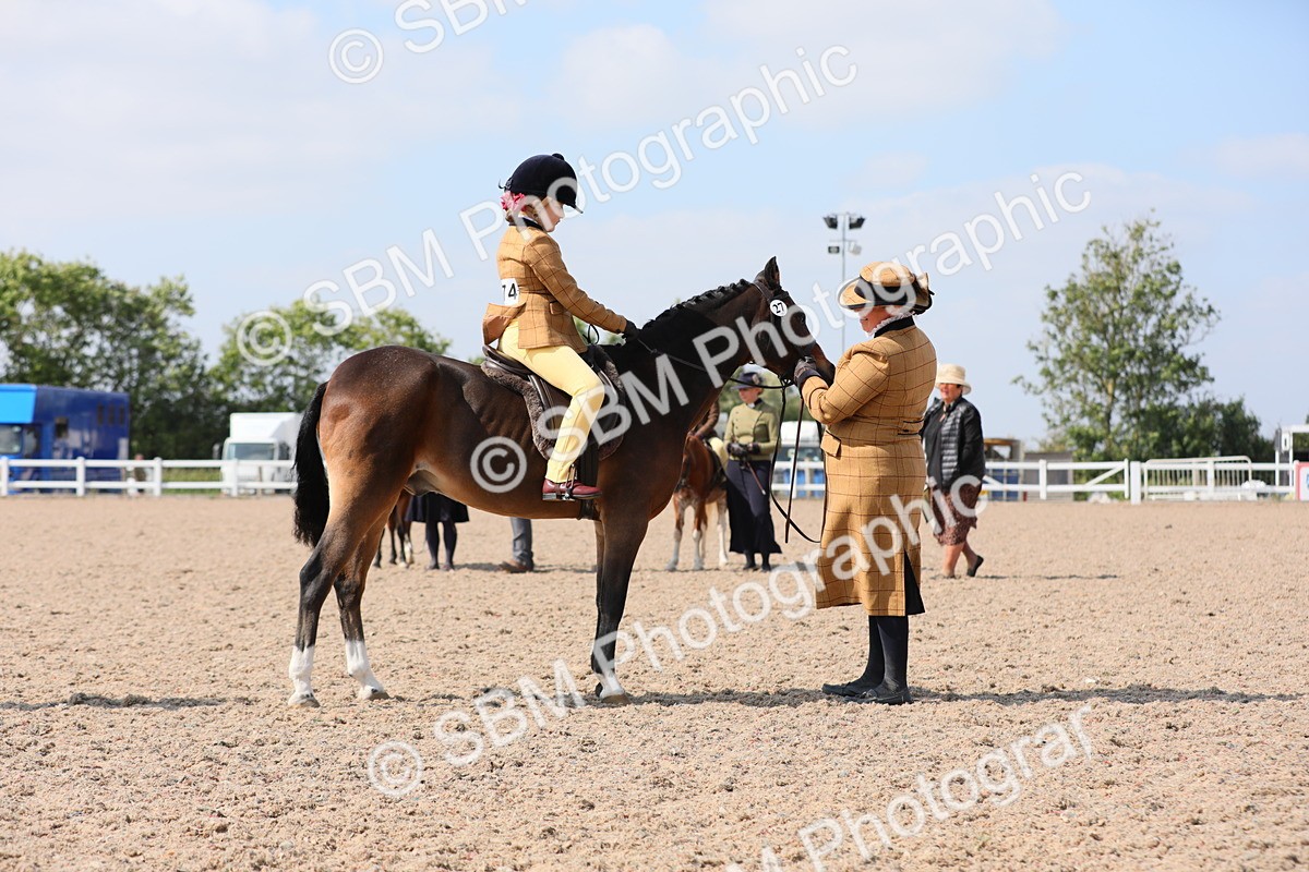 SBM_14033 - Class 309 Lead Rein Pony