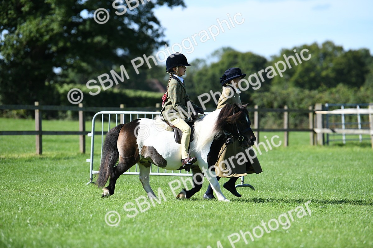SBM_39551 - S18 - Novice & Newcomers Lead Rein Pony