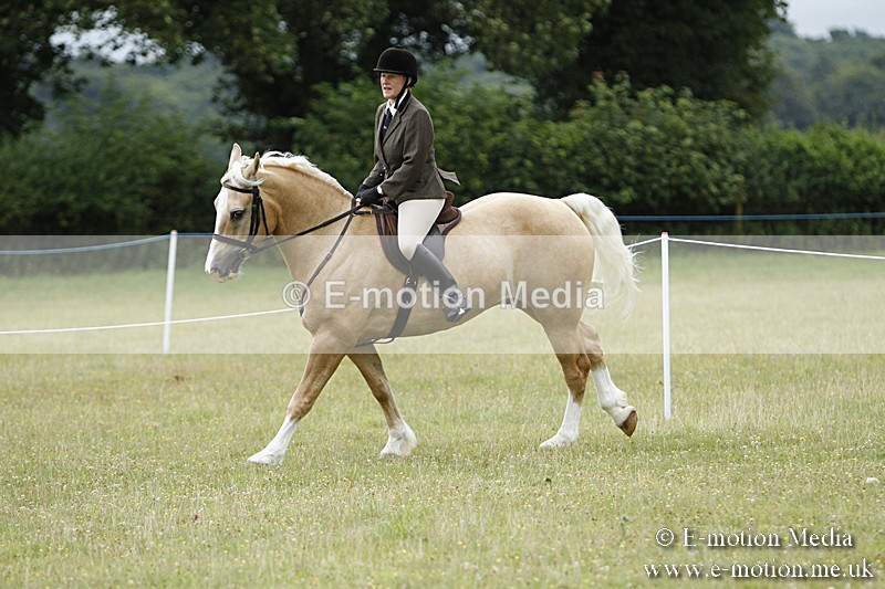 BVR160717-168 - Ring 3 BVRC Show 16/07/17