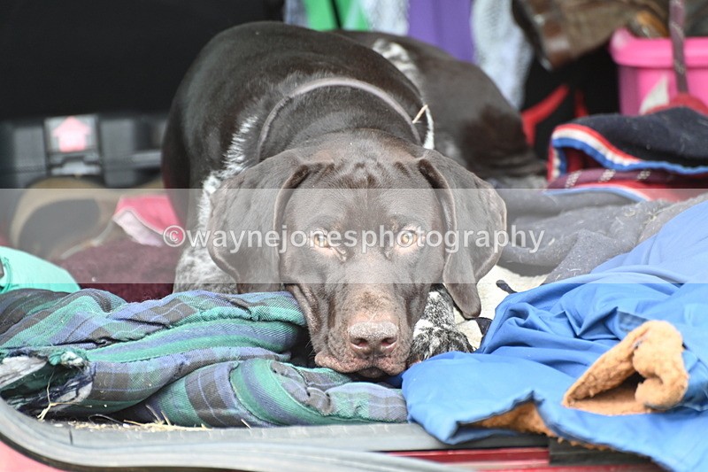 WJ6_4202 - Time at Jump 12:22 to 13:03