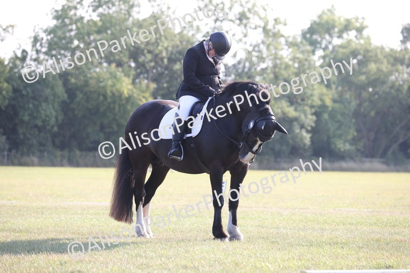 20250731-0678 - Class 1 - Intro 4