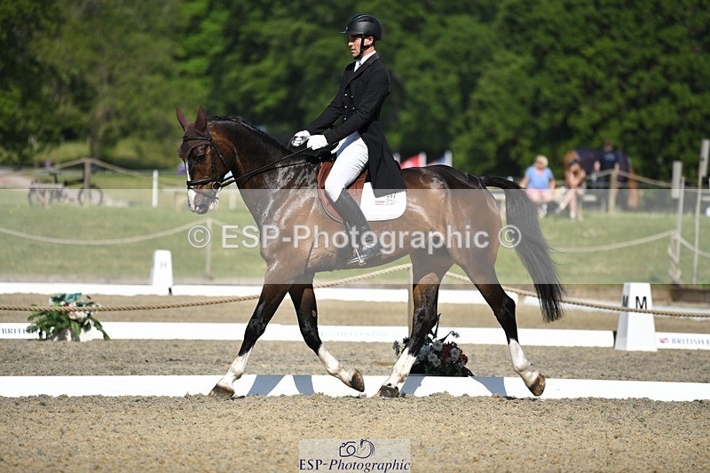 230525-093831-01640 - 307-PENHILLS_CANDY_MAN-Max_Warburton-WEDTrotUp+DR