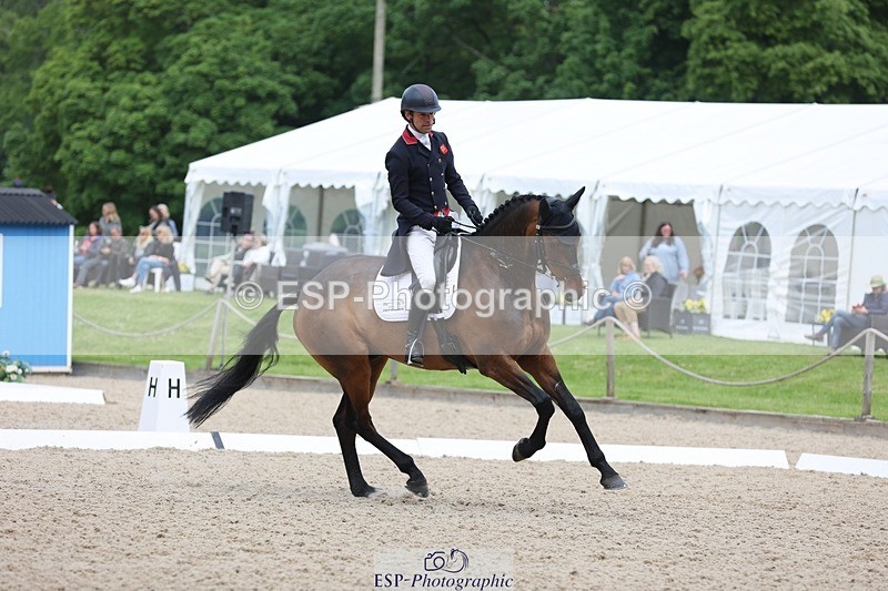 240524-101718-07359 - 260-WATERVALLEY_ROYAL_GUY-Harry_Meade