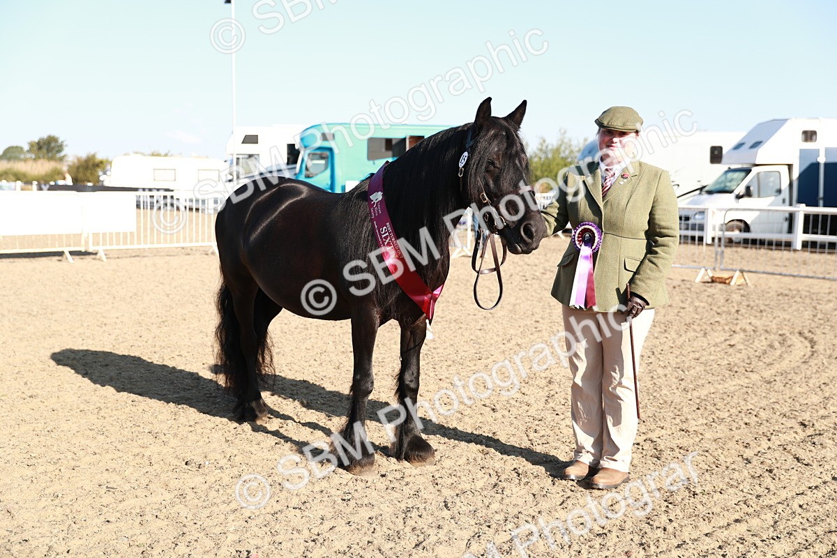 SBM_00152 - Class 40 Best Turned Out IH