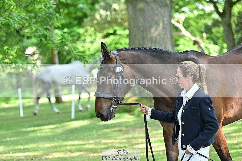 250521A-160011-00856 - C-279-Kitty.King-DASSETT.FLIGHT.PATH